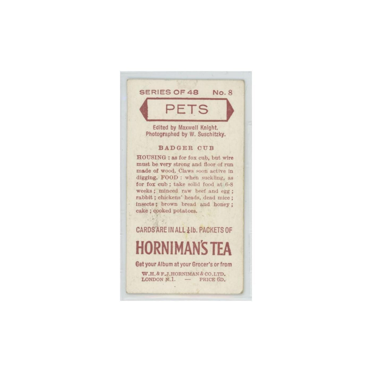 1960 Horniman's Tea Pets Badger Cub #8