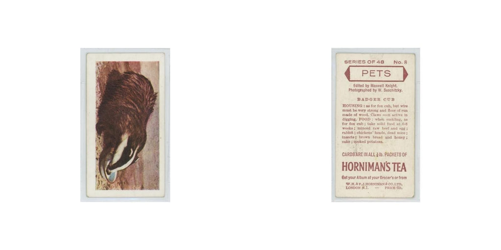 1960 Horniman's Tea Pets Badger Cub #8