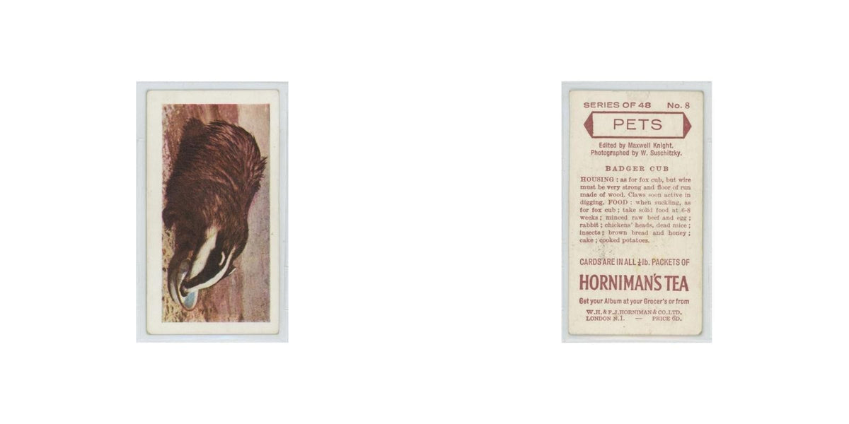 1960 Horniman's Tea Pets Badger Cub #8