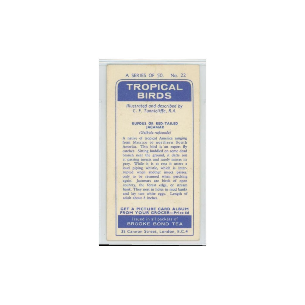 1961 Brooke Bond Tropical Birds Rufous Red Tailed Jacamar #22