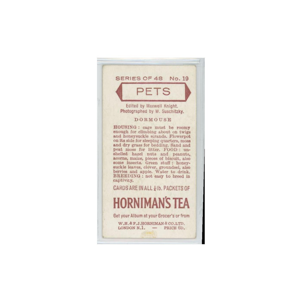 1960 Horniman's Tea Pets Dormouse #19