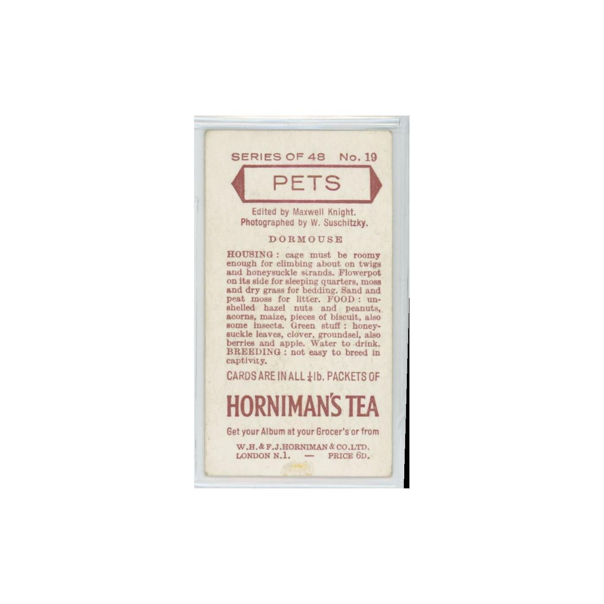 1960 Horniman's Tea Pets Dormouse #19