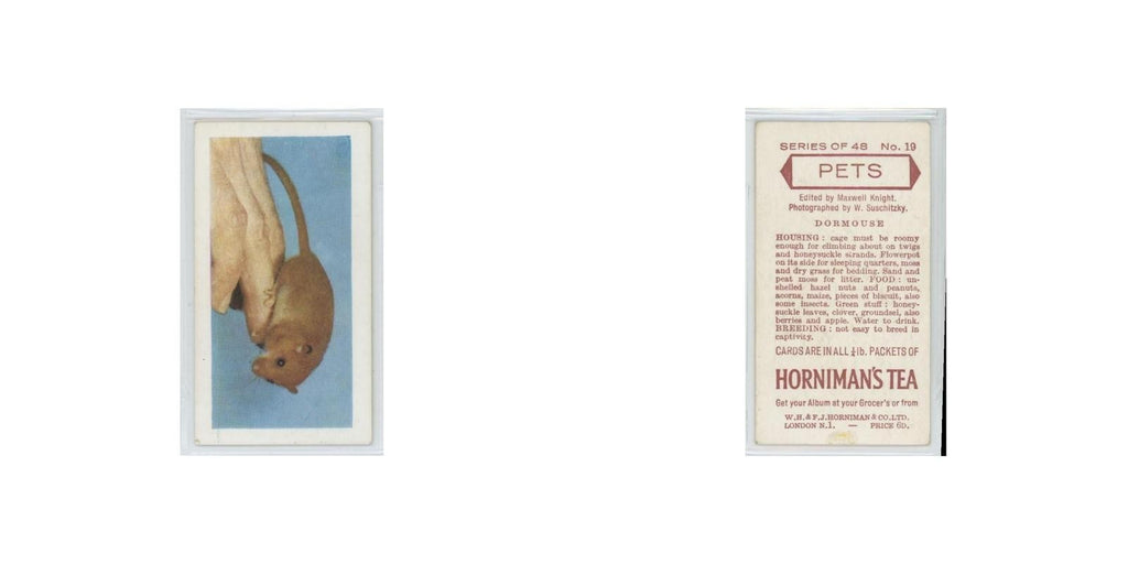 1960 Horniman's Tea Pets Dormouse #19