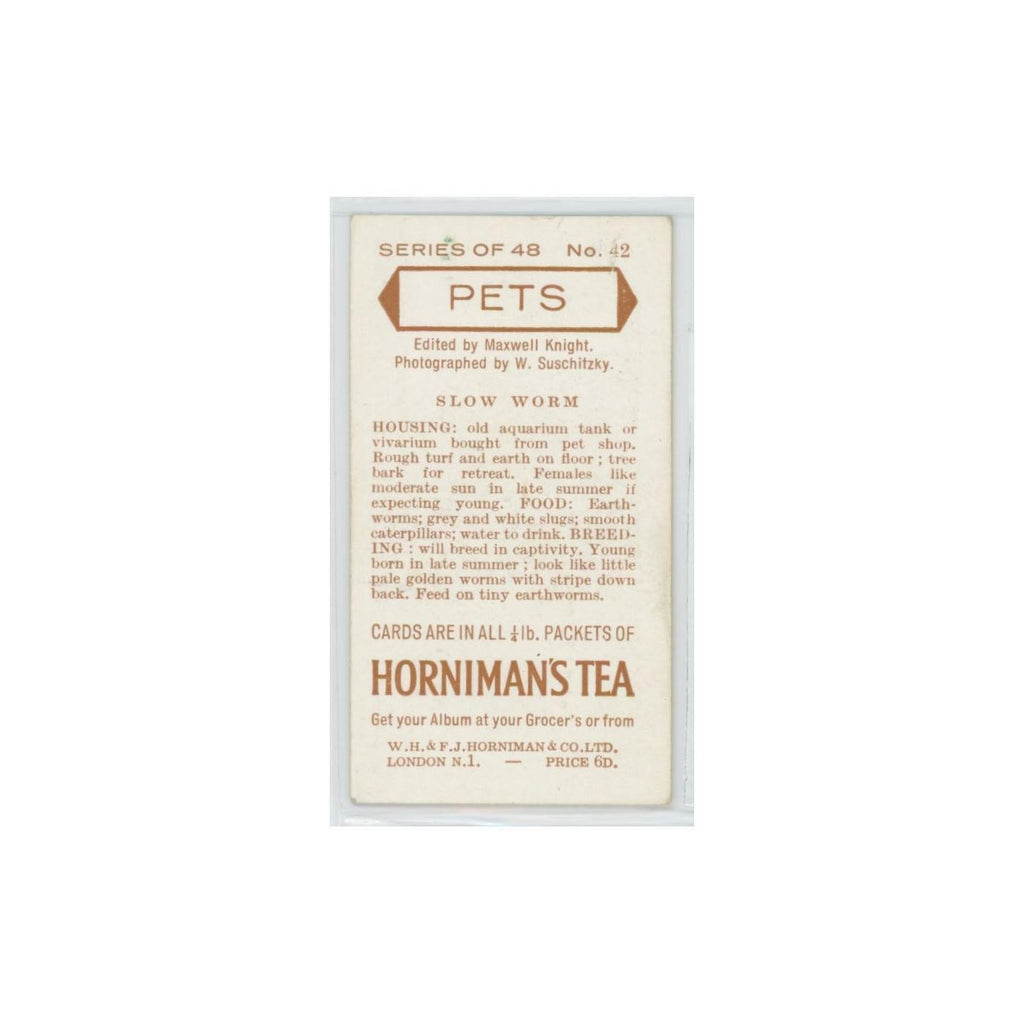 1960 Horniman's Tea Pets Slow Worm #42