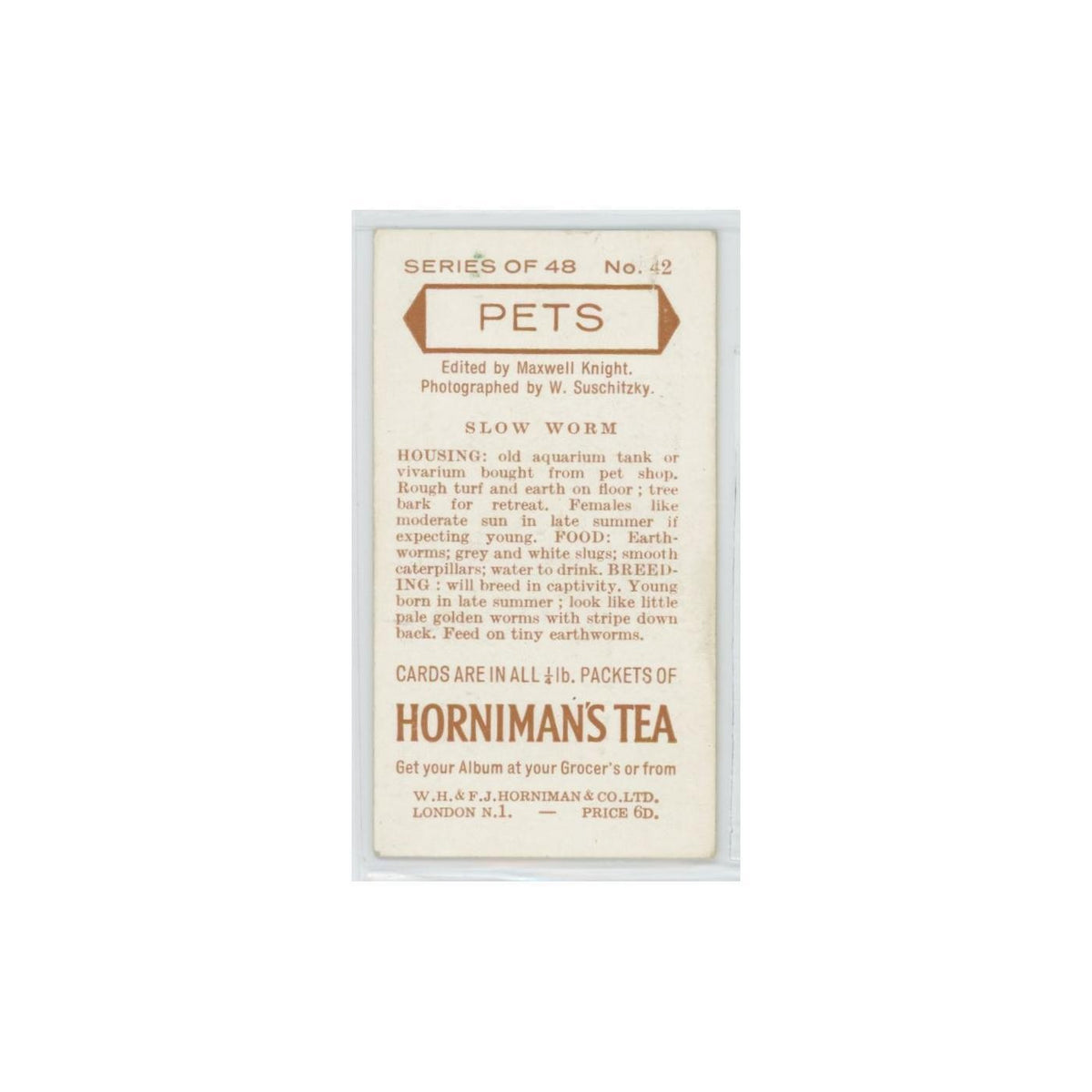 1960 Horniman's Tea Pets Slow Worm #42