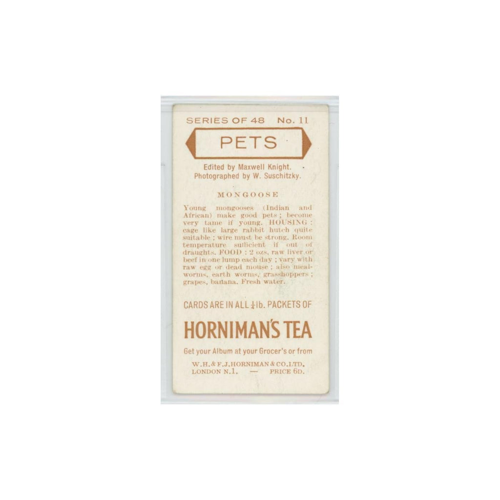 1960 Horniman's Tea Pets Mongoose #11