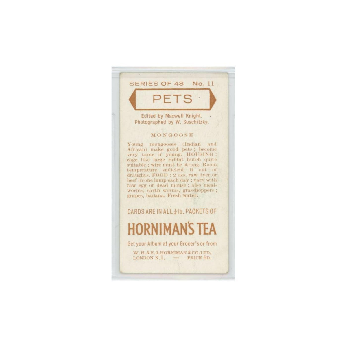 1960 Horniman's Tea Pets Mongoose #11