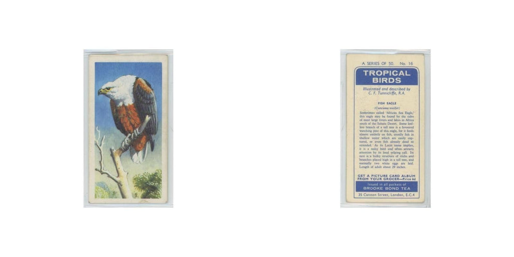 1961 Brooke Bond Tropical Birds Fish Eagle #16