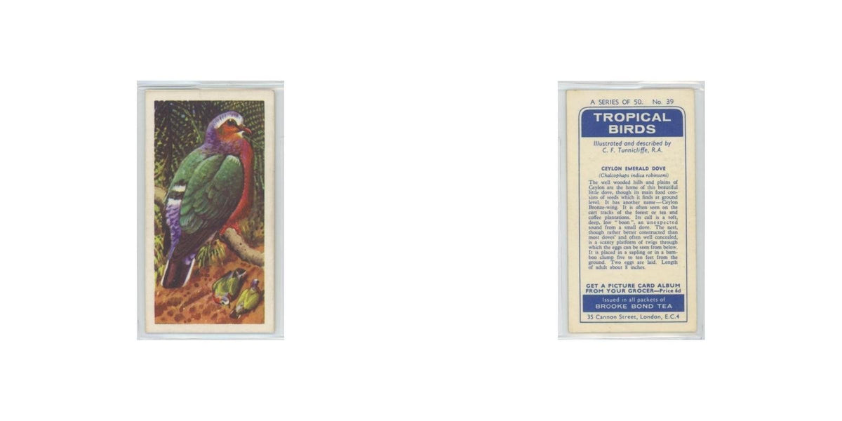 1961 Brooke Bond Tropical Birds Ceylon Emerald Dove #39