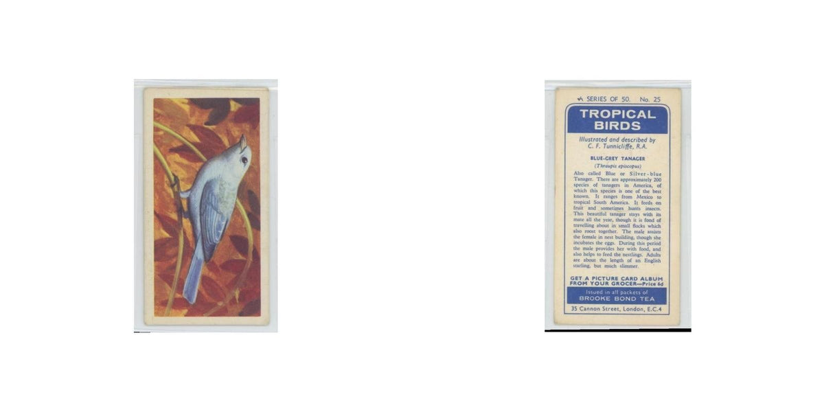 1961 Brooke Bond Tropical Birds Blue Grey Tanager #25