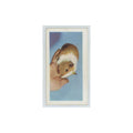 1960 Horniman's Tea Pets Guinea Pig #7