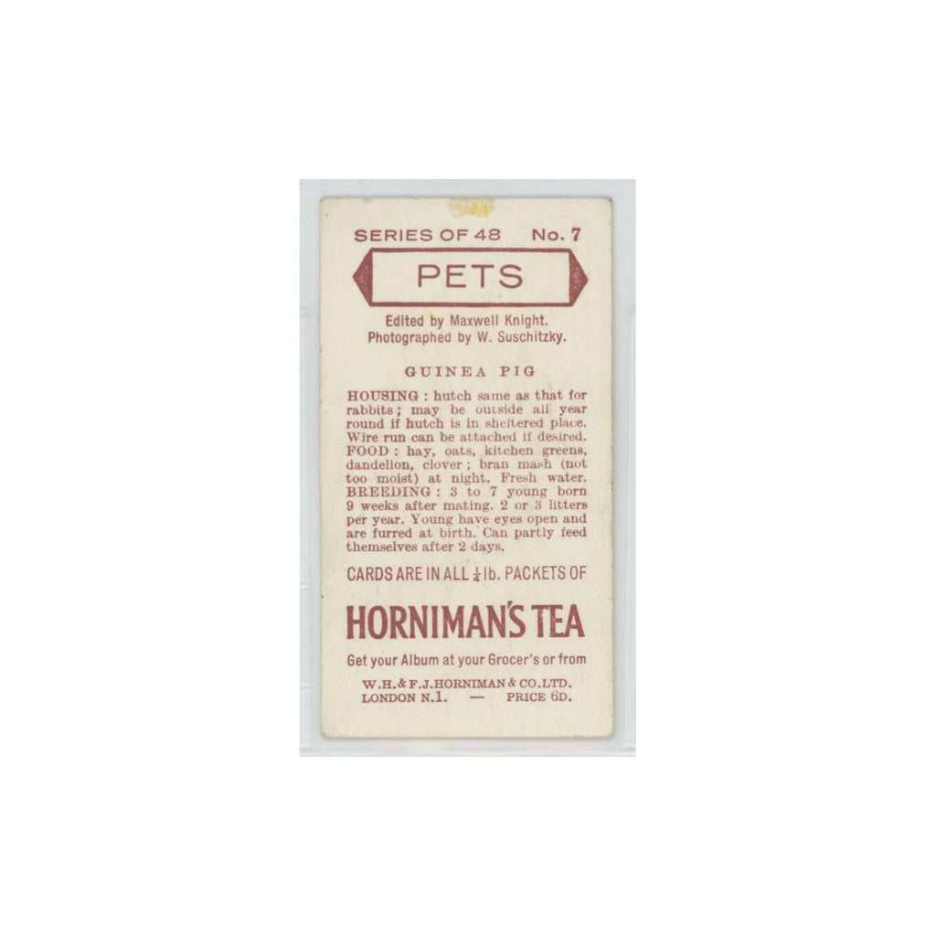 1960 Horniman's Tea Pets Guinea Pig #7