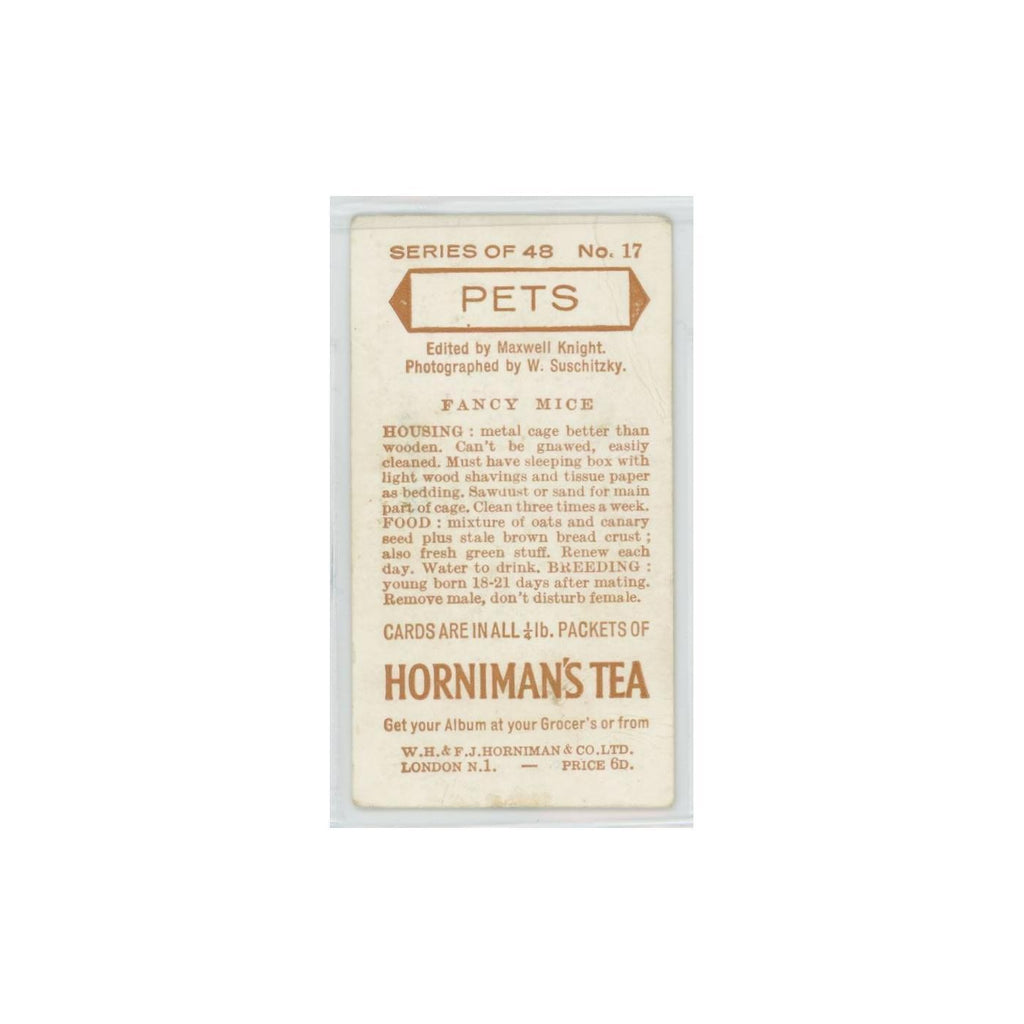 1960 Horniman's Tea Pets Fancy Mice #17