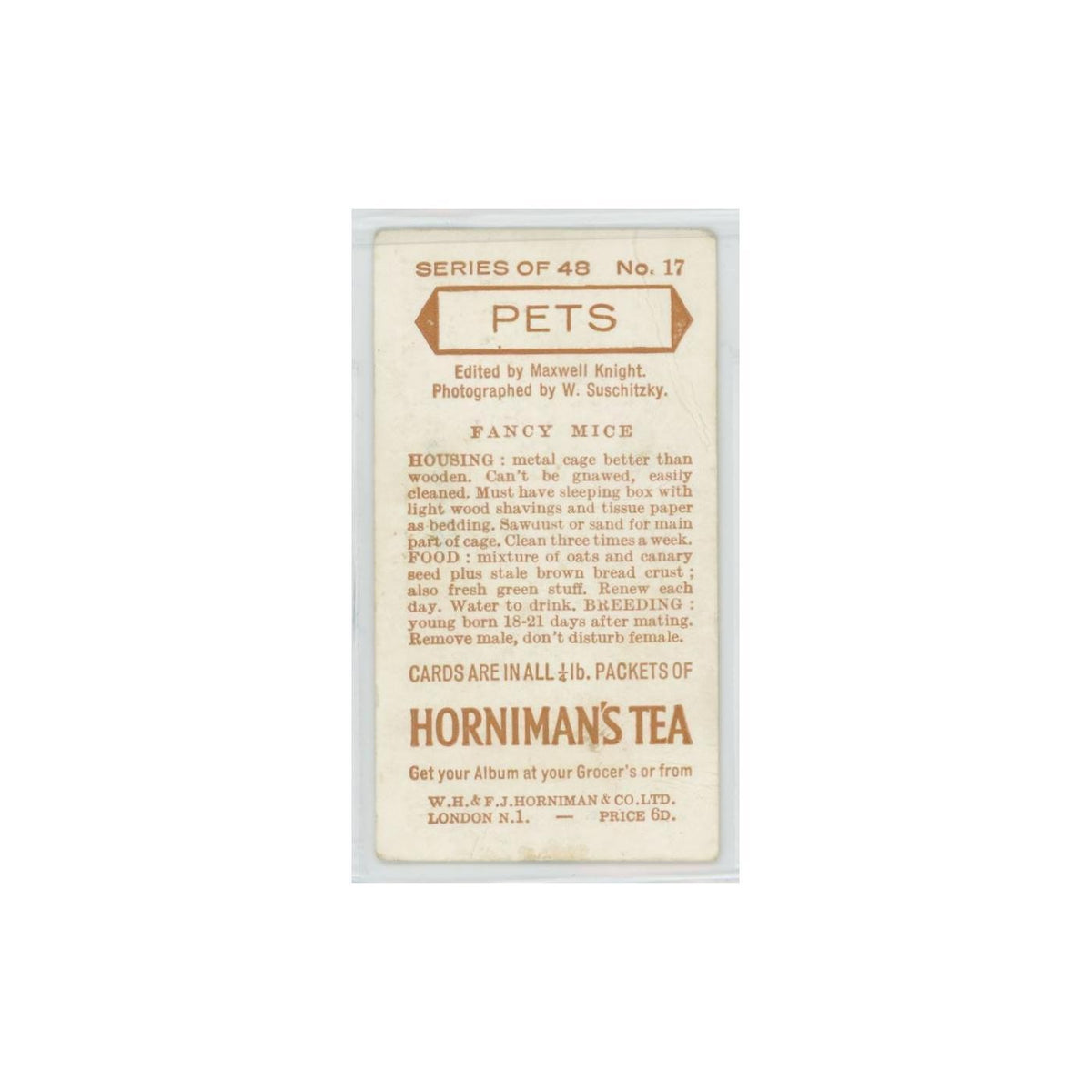 1960 Horniman's Tea Pets Fancy Mice #17