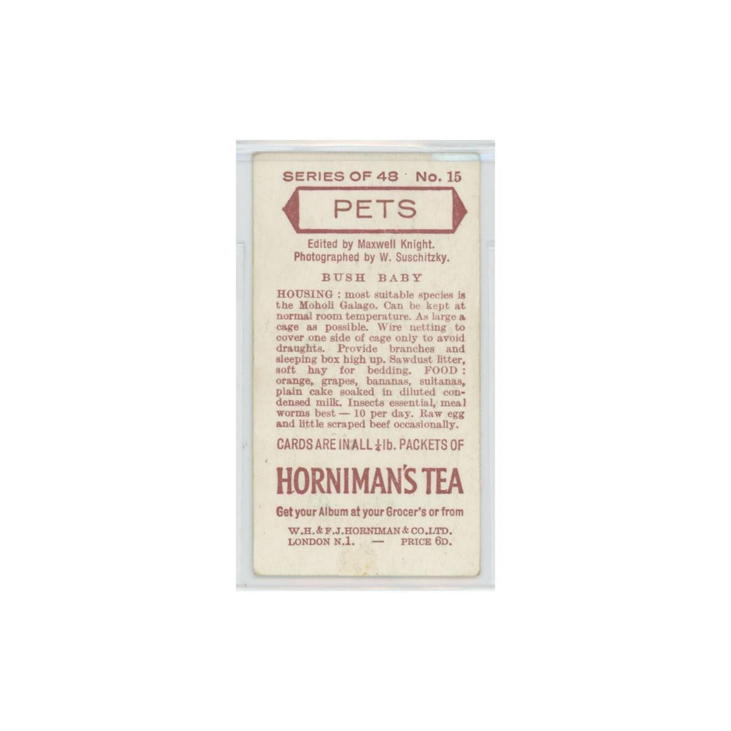 1960 Horniman's Tea Pets Bush Baby #15