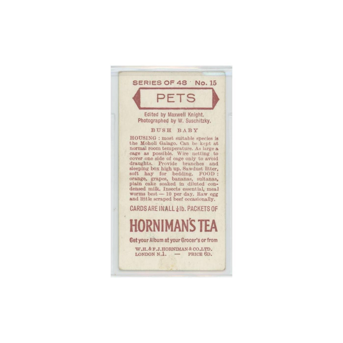 1960 Horniman's Tea Pets Bush Baby #15