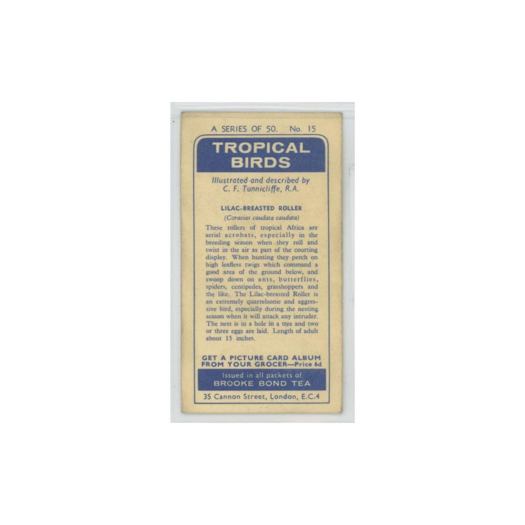 1961 Brooke Bond Tropical Birds Lilac Breasted Roller #15