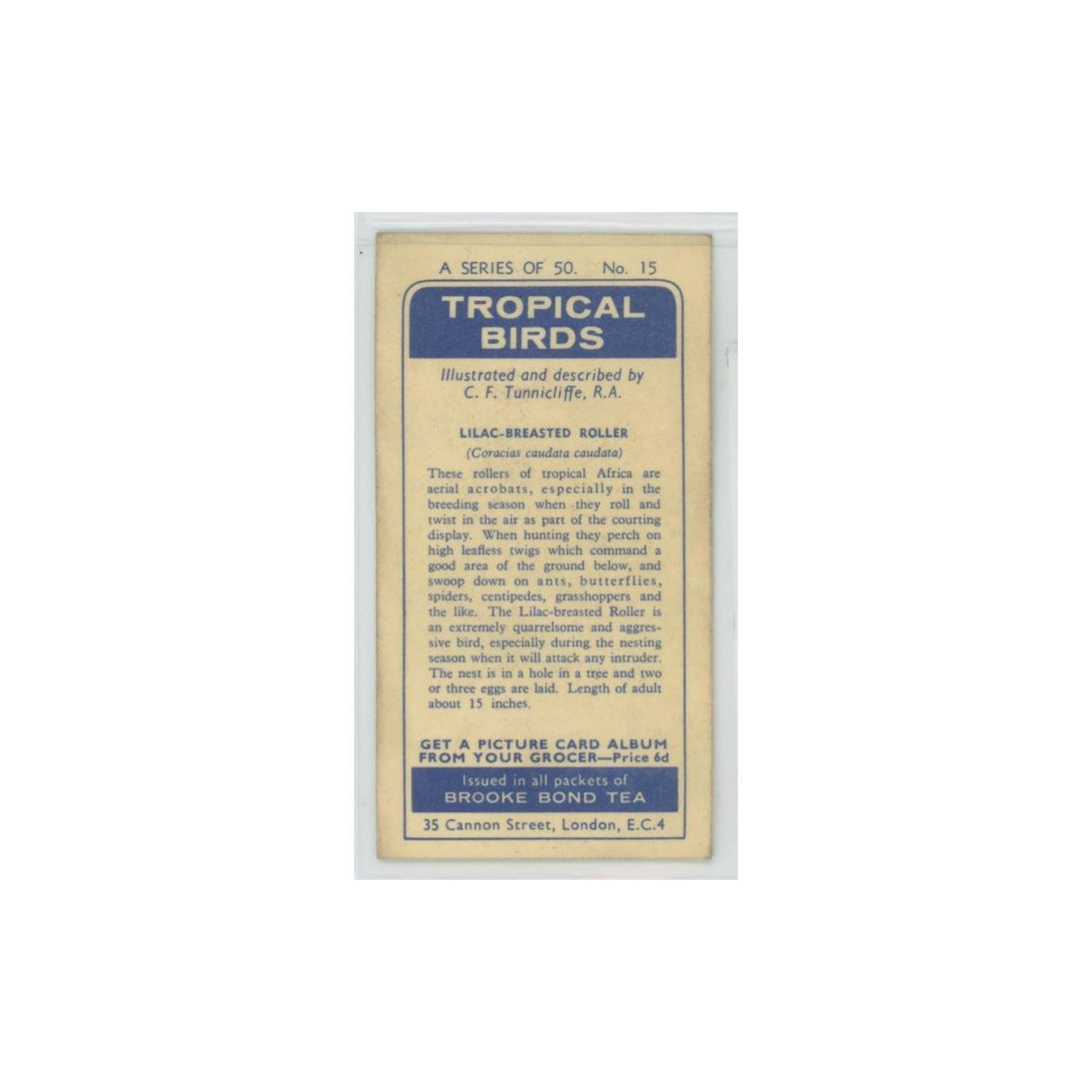 1961 Brooke Bond Tropical Birds Lilac Breasted Roller #15