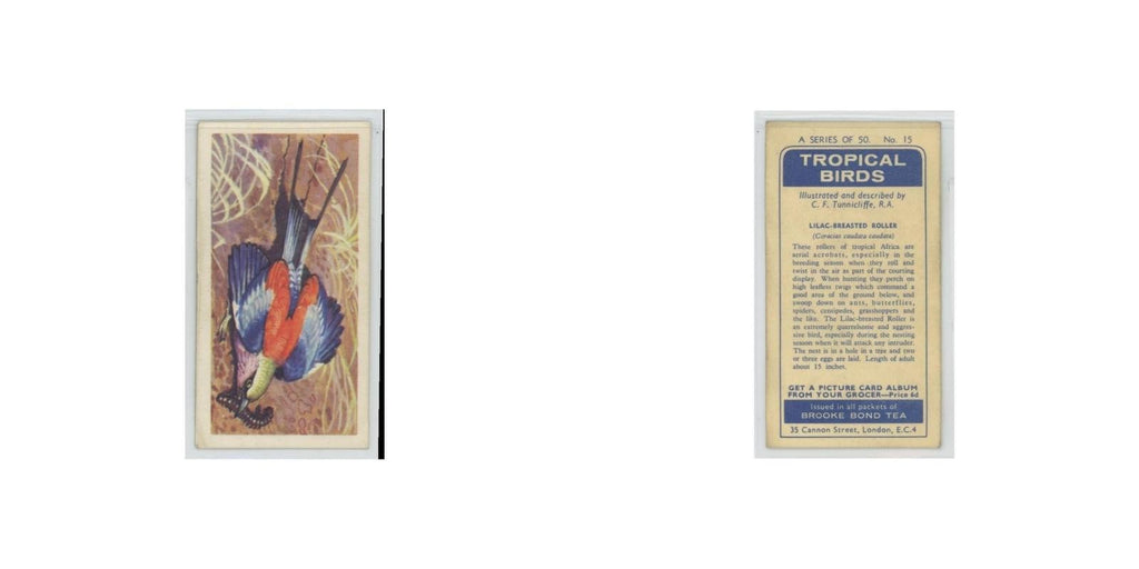 1961 Brooke Bond Tropical Birds Lilac Breasted Roller #15