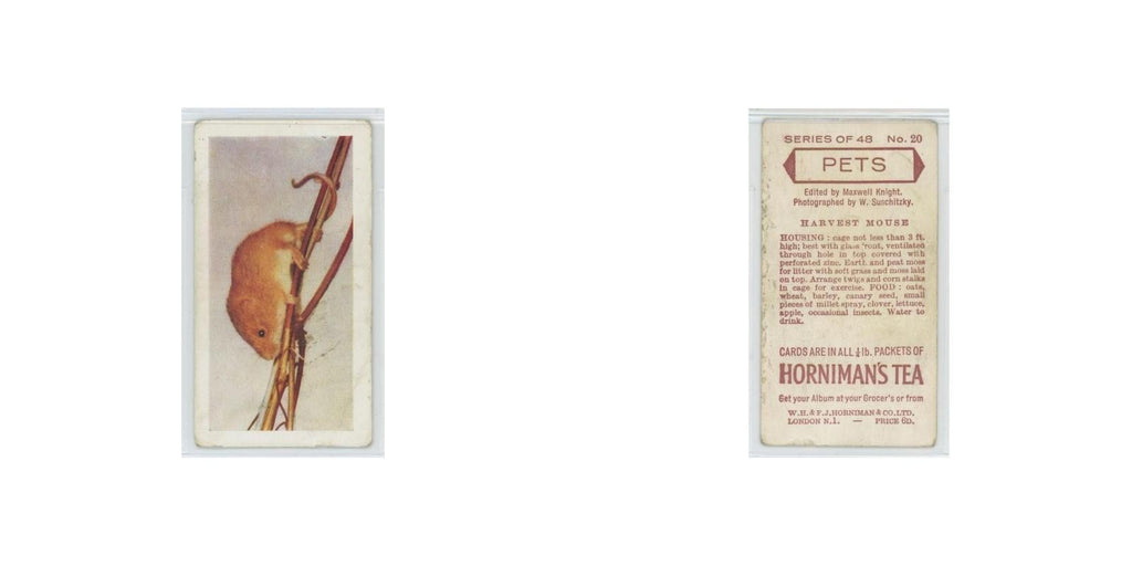 1960 Horniman's Tea Pets Harvest Mouse #20