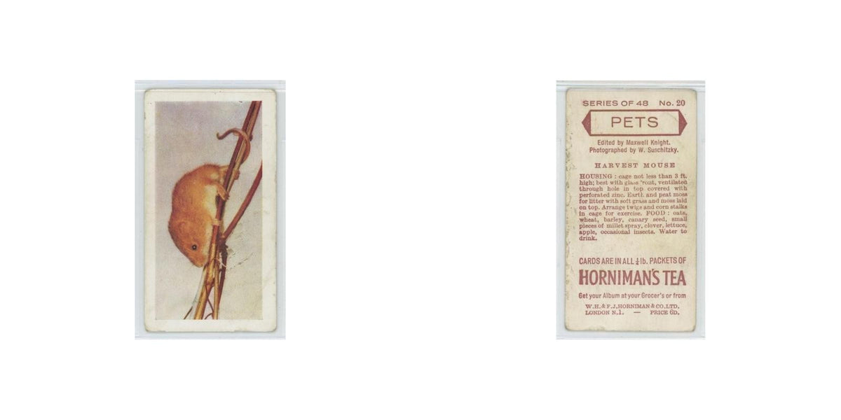 1960 Horniman's Tea Pets Harvest Mouse #20