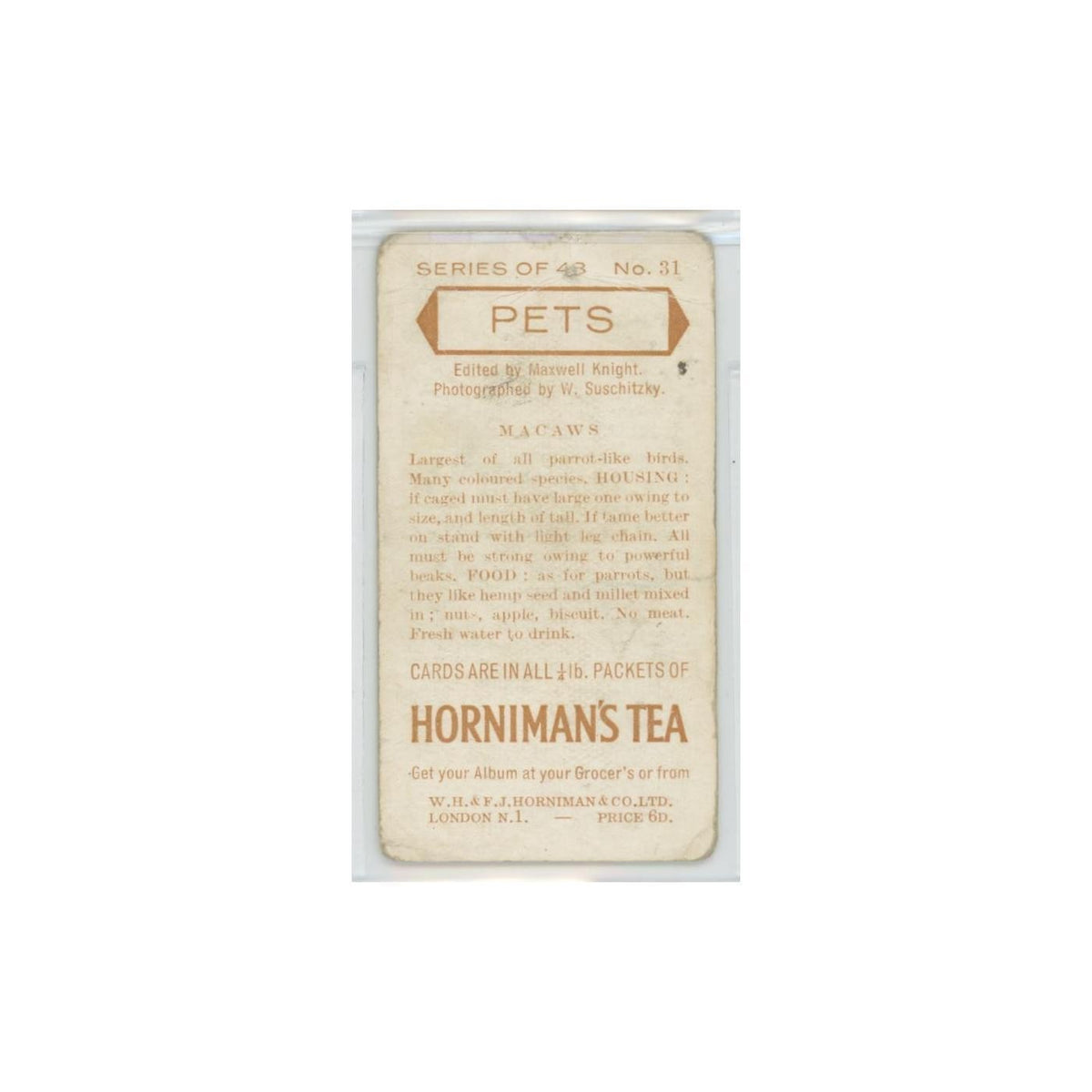 1960 Horniman's Tea Pets Macaws #31