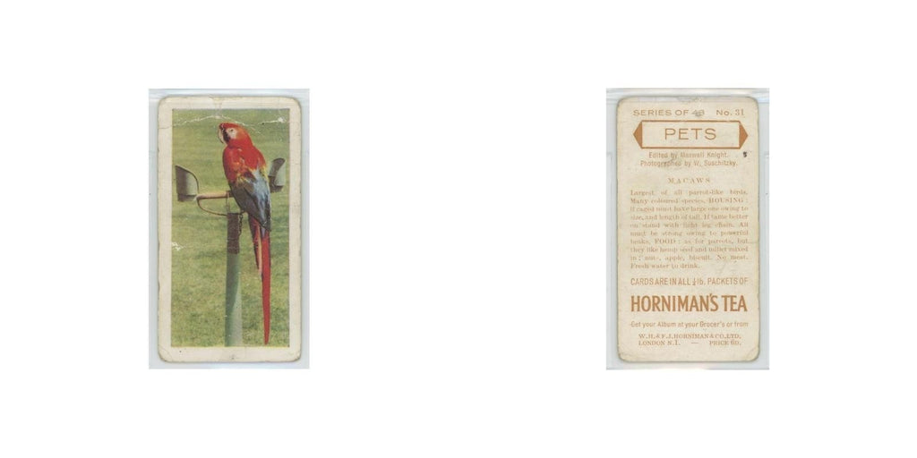 1960 Horniman's Tea Pets Macaws #31