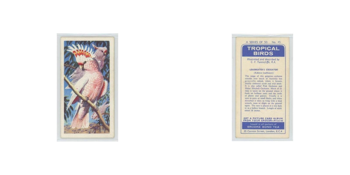1961 Brooke Bond Tropical Birds Leadbeater's Cockatoo #45