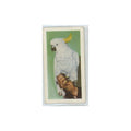 1960 Horniman's Tea Pets Sulphur Crested Cockatoo #30