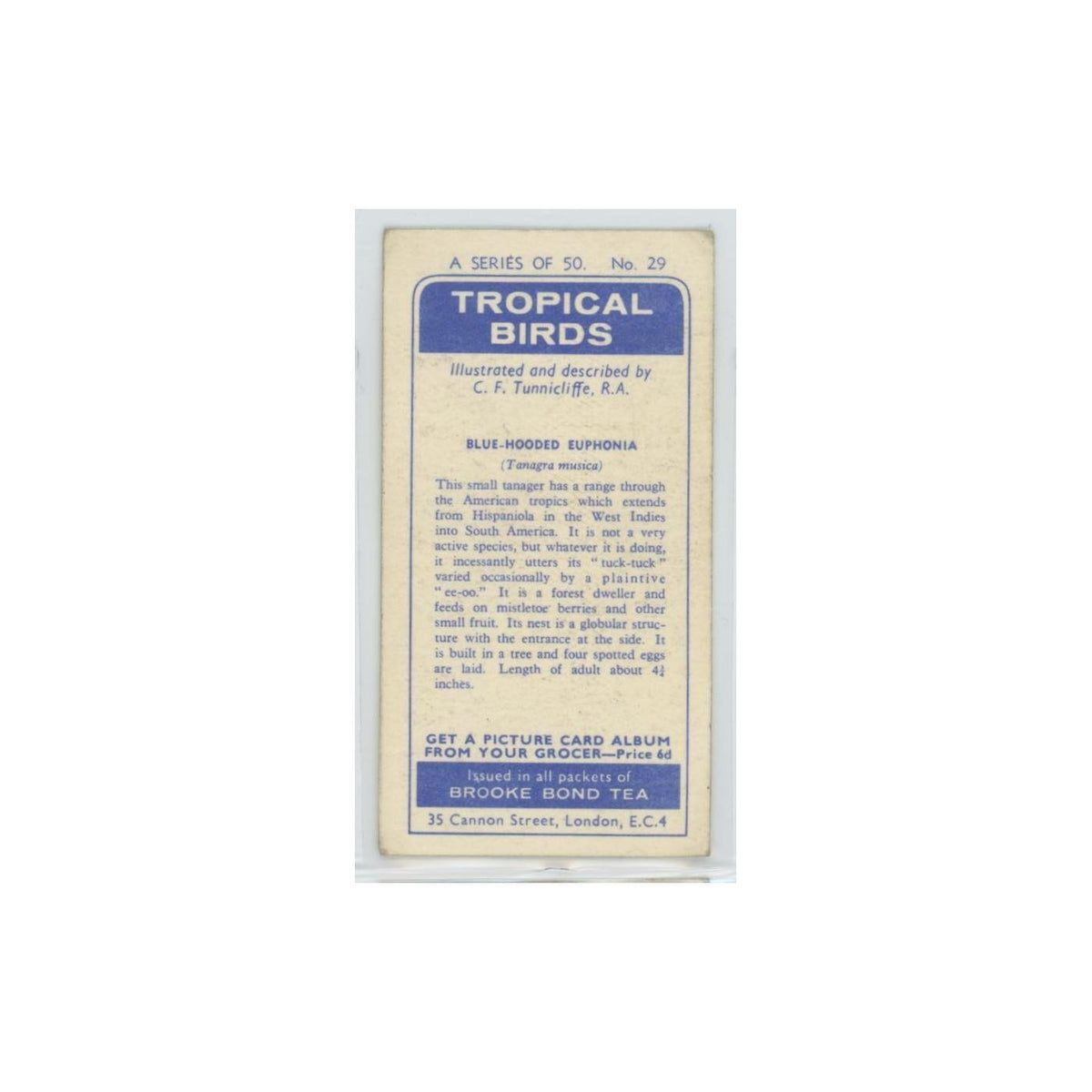1961 Brooke Bond Tropical Birds Blue Hooded Euphonia #29