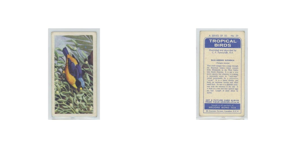 1961 Brooke Bond Tropical Birds Blue Hooded Euphonia #29