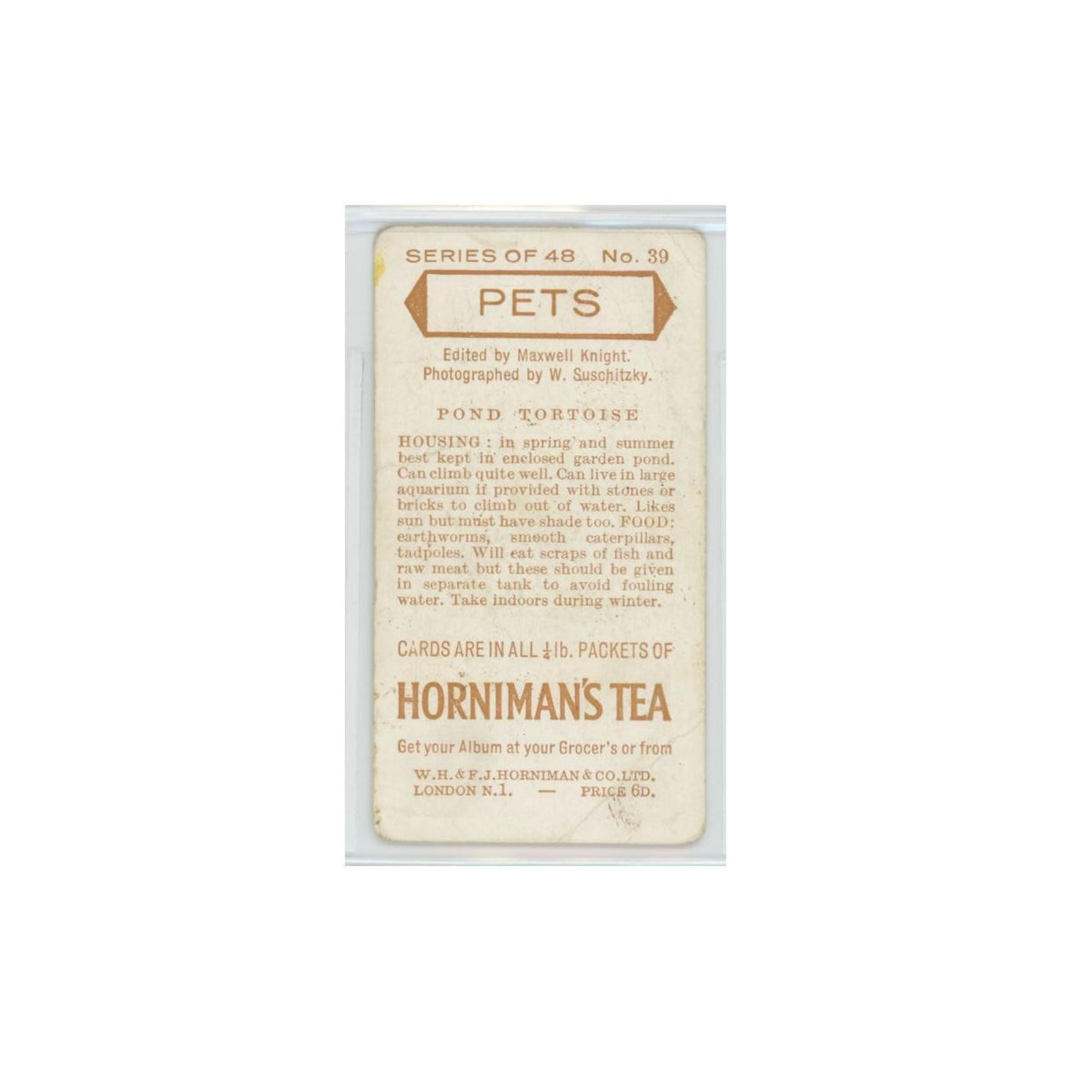 1960 Horniman's Tea Pets Pond Tortoise #39