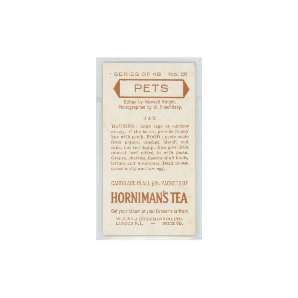 1960 Horniman's Tea Pets Jay #26