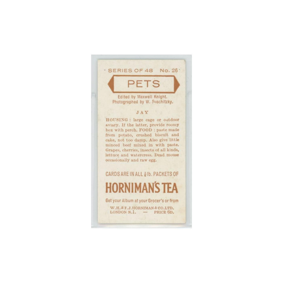 1960 Horniman's Tea Pets Jay #26