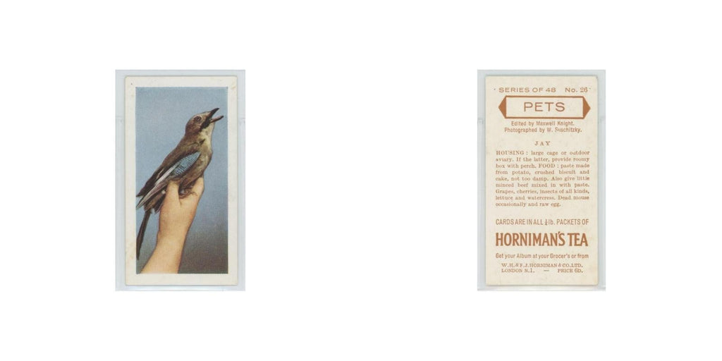 1960 Horniman's Tea Pets Jay #26