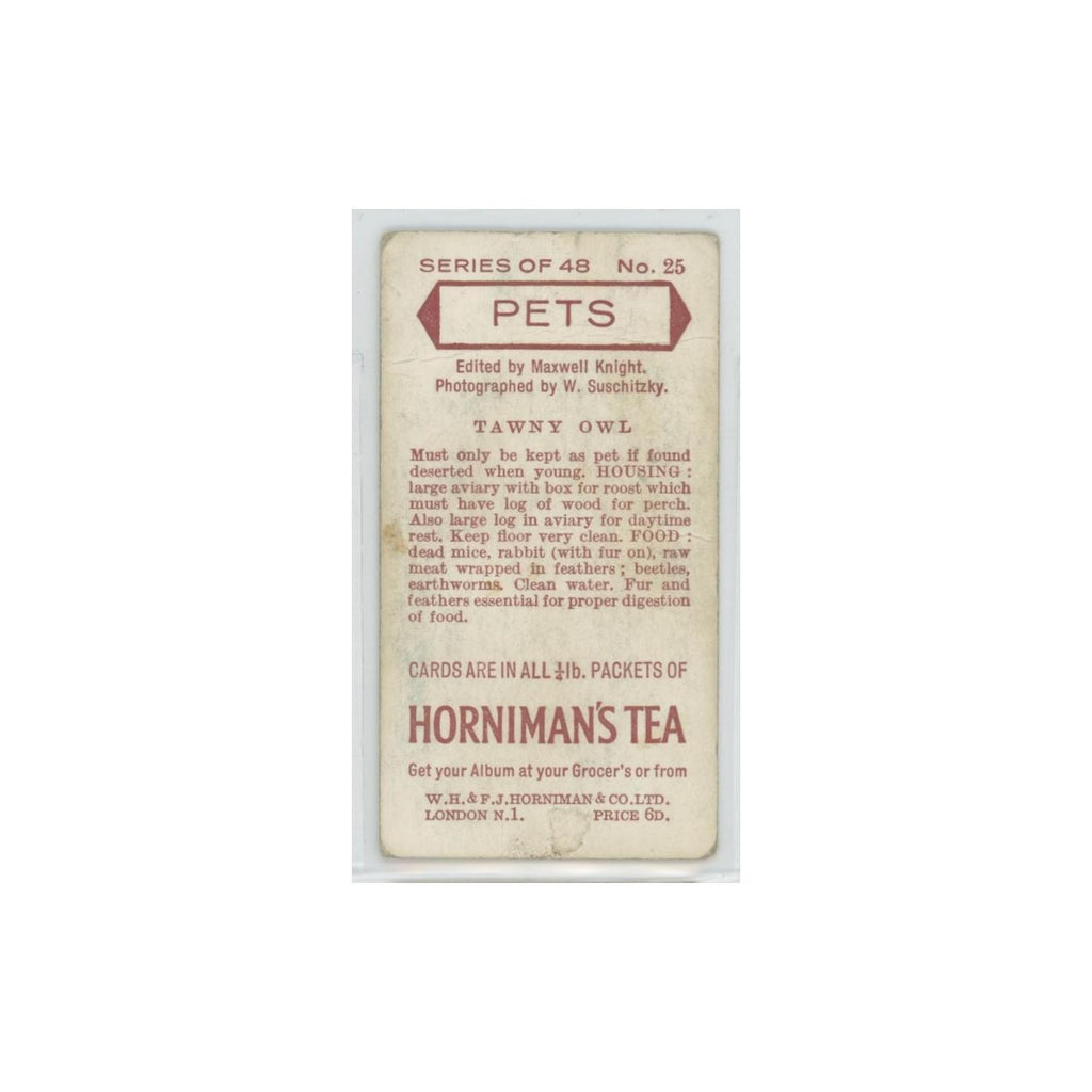 1960 Horniman's Tea Pets Tawny Owl #25