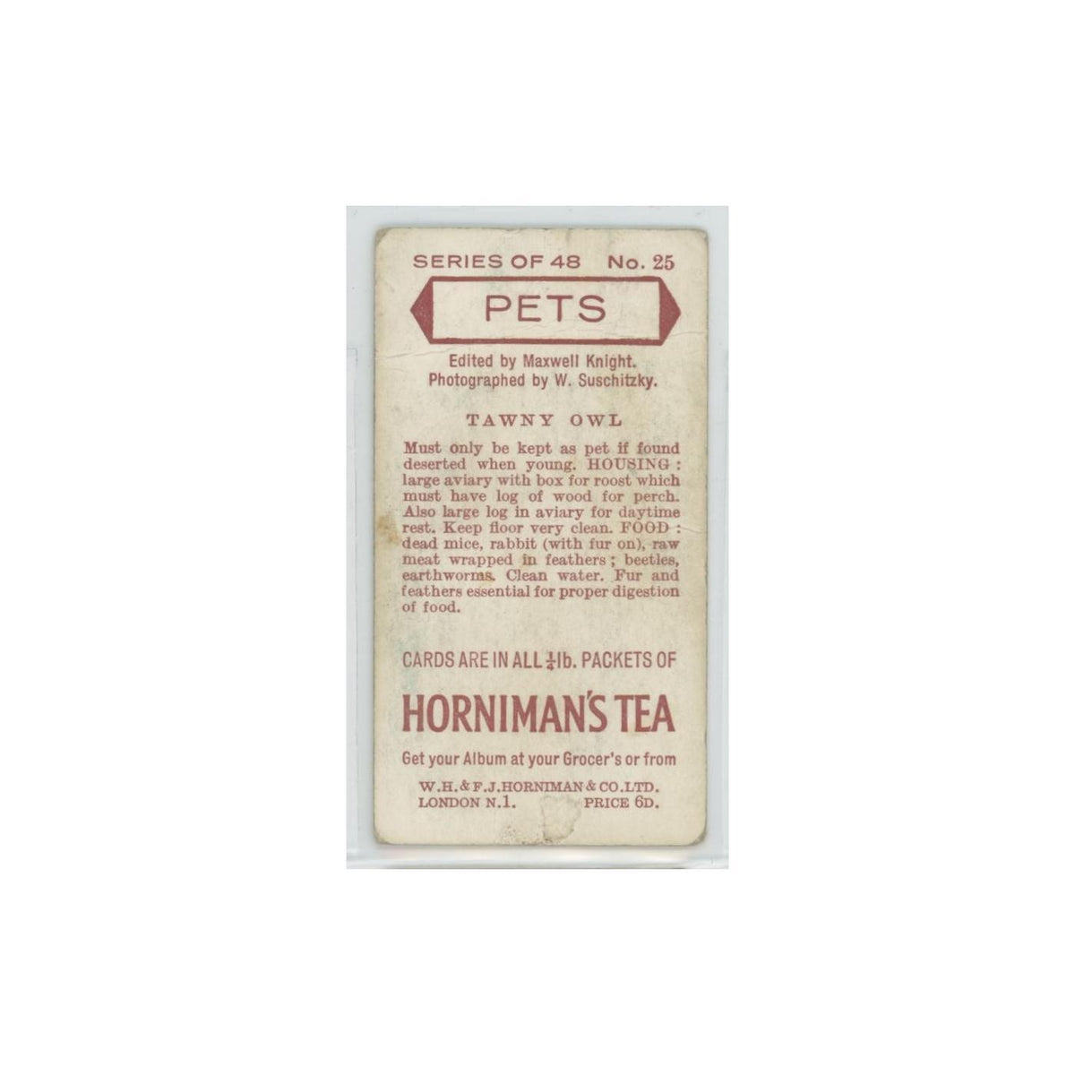 1960 Horniman's Tea Pets Tawny Owl #25