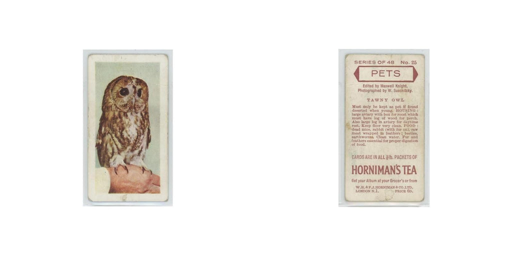1960 Horniman's Tea Pets Tawny Owl #25