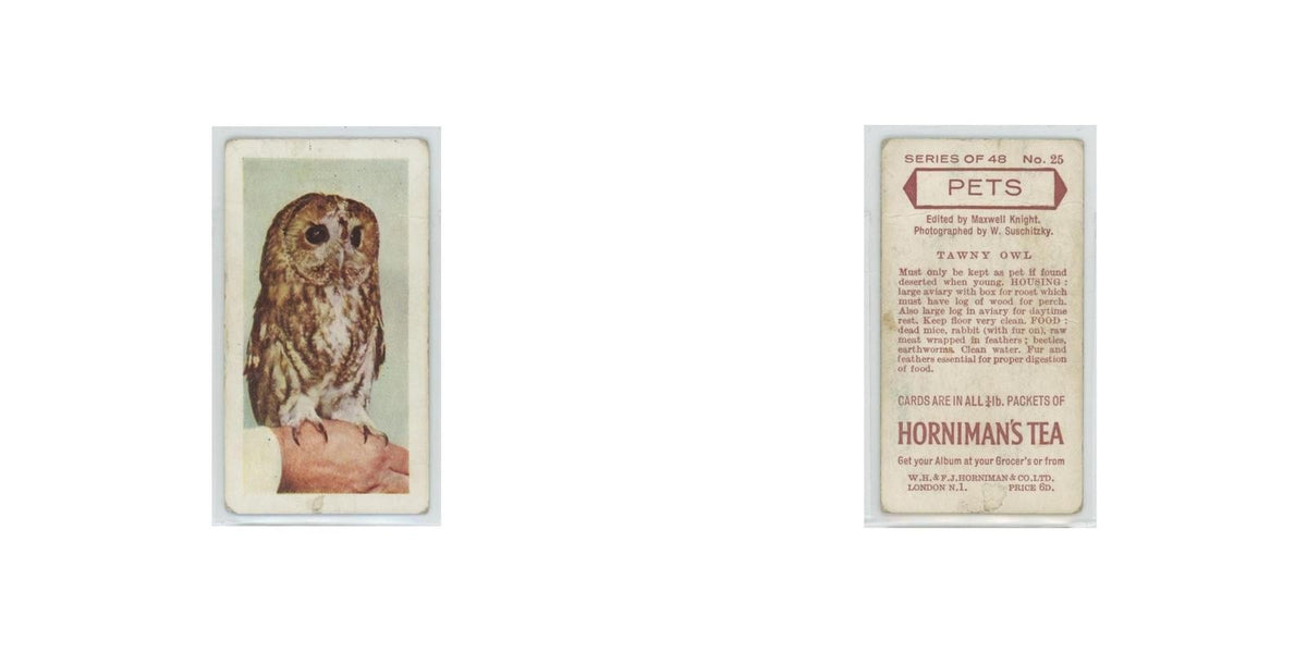 1960 Horniman's Tea Pets Tawny Owl #25