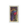 1961 Brooke Bond Tropical Birds Purple Crested Turaco #9