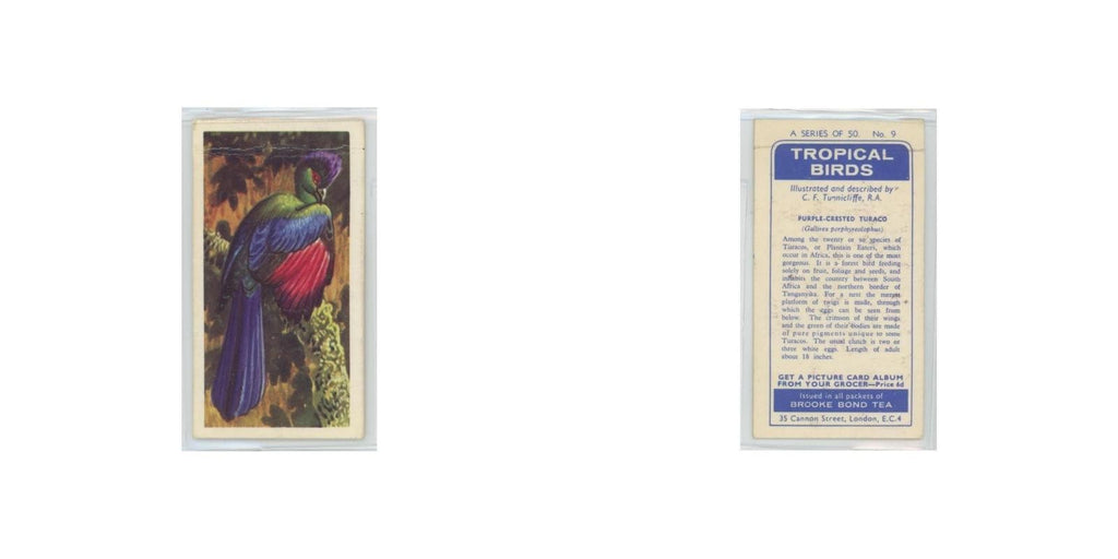 1961 Brooke Bond Tropical Birds Purple Crested Turaco #9