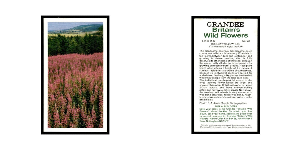 1986 Grandee Britain's Wild Flowers Rosebay Willowherb #23