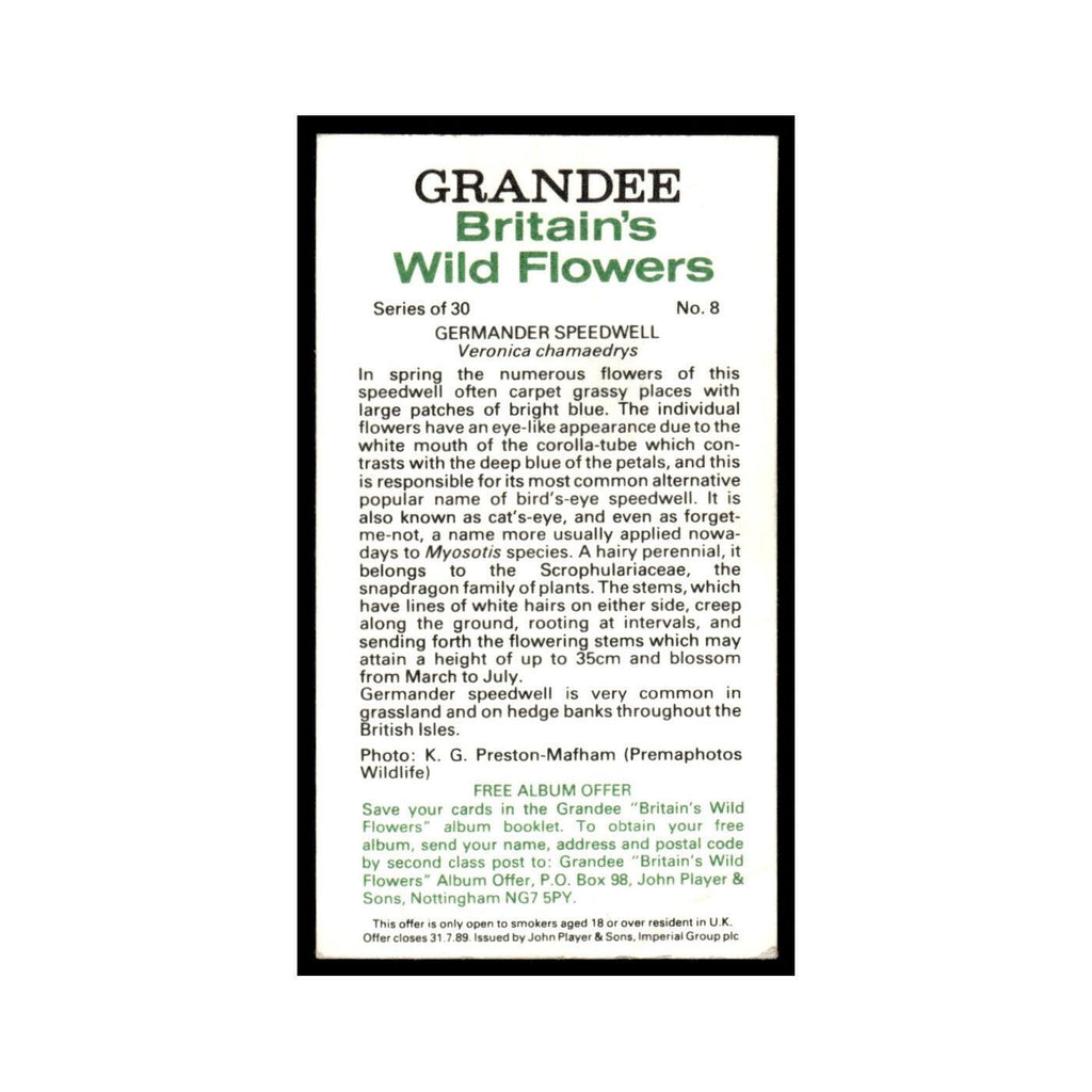 1986 Grandee Britain's Wild Flowers Germander Speedwell #8