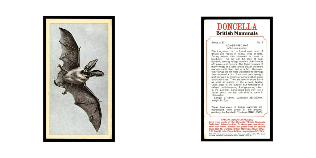 1983 Doncella Cigars British Mammals Long Eared Bat #2