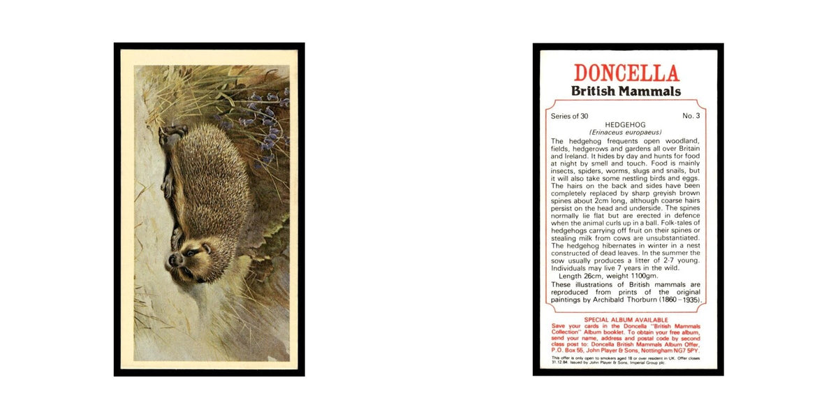1983 Doncella Cigars British Mammals Hedgehog #3