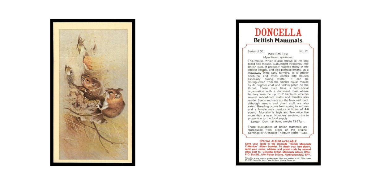 1983 Doncella Cigars British Mammals Woodmouse #20