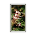 1986 Grandee Britain's Wild Flowers Honeysuckle #21