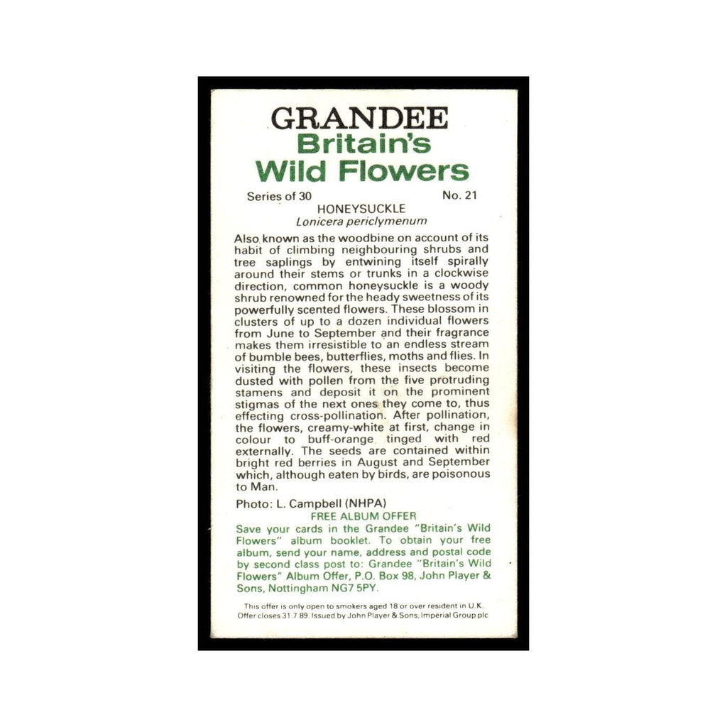 1986 Grandee Britain's Wild Flowers Honeysuckle #21