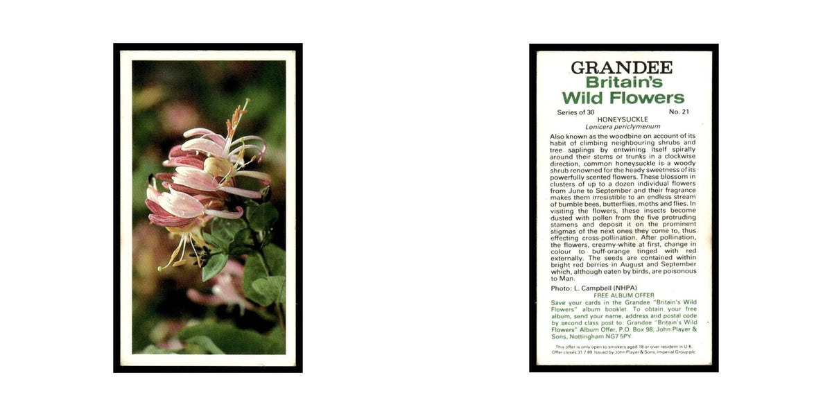 1986 Grandee Britain's Wild Flowers Honeysuckle #21