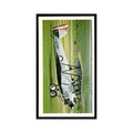 1977 Doncella Cigars Golden Age of Flying Hawker Tomtit #8